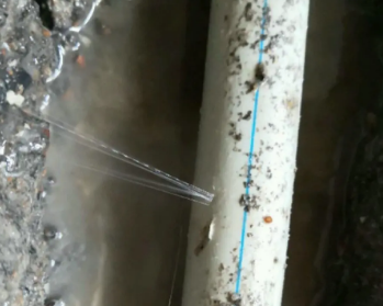 武夷山卫生间测漏水多少钱
