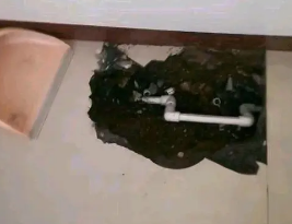 武夷山卫生间测漏水多少钱